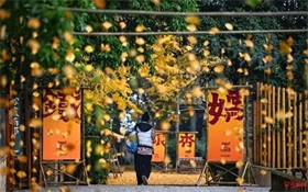 动画季线下展 带观众踏上奇幻之旅