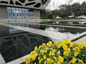 “迪拜人工智能周”聚焦前沿技术与产业落地